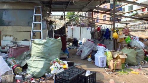 屡教不改 龙港这些废品收购站该管一管了