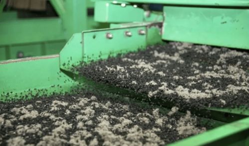 恐将造成全球生态灾难 52000000条轮胎燃烧,浓烟遮天蔽日