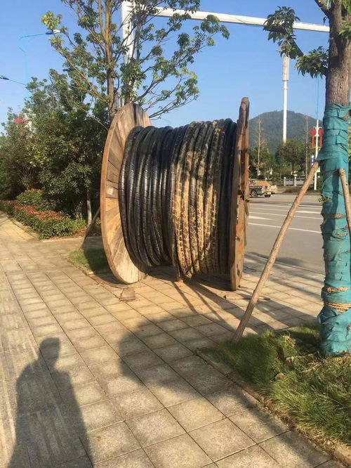 邵阳变压器回收电话