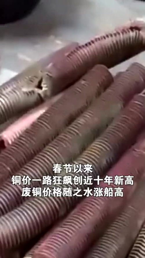 废铜也疯狂价格飙涨 一铜难求 废品收购站老板一夜赚翻